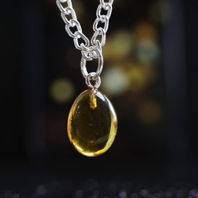Amber Pendant Insect In Silver (0-1GM)