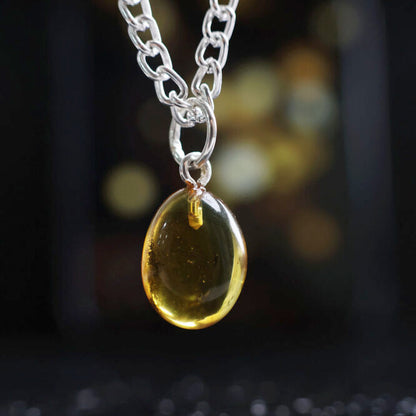 Amber Pendant Insect In Silver (0-1GM)